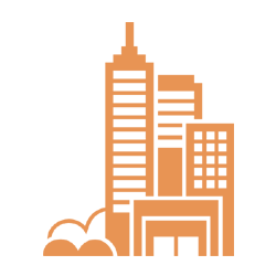 City Tours